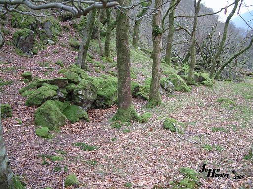 rems of defence wall Dinas Emrys.jpg